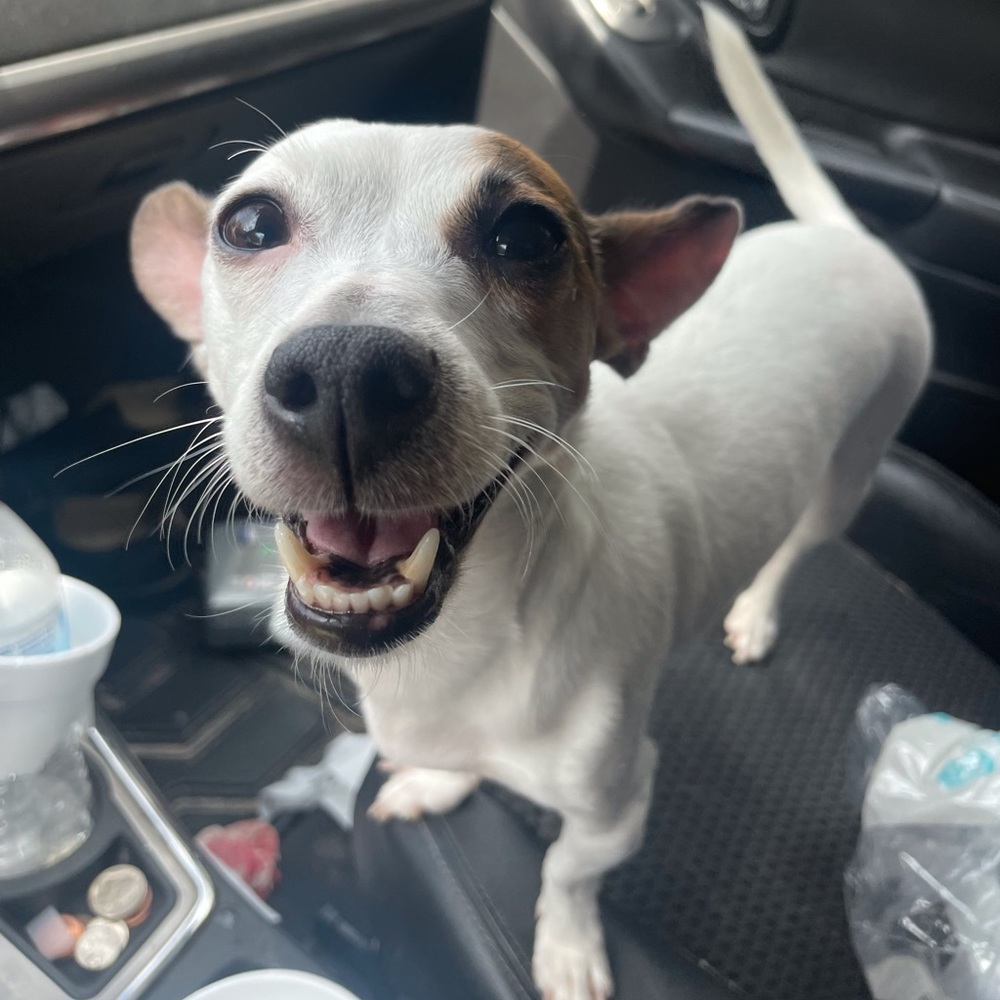 Meet your Posher, Daniela